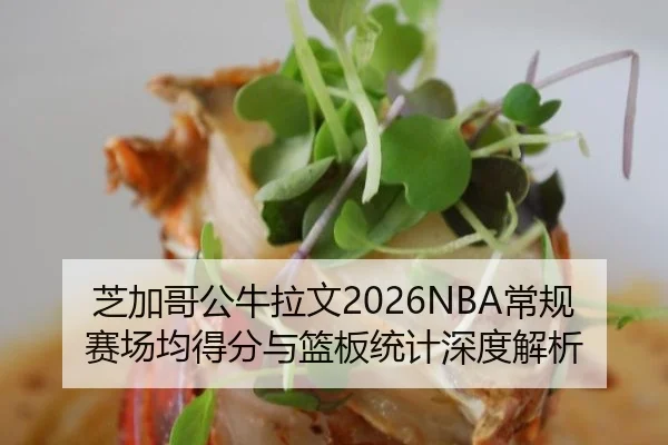 芝加哥公牛拉文2026NBA常规赛场均得分与篮板统计深度解析